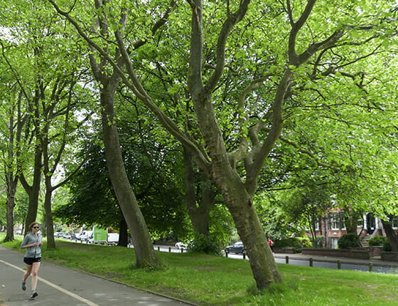 https://cobourg.co.uk/wp-content/uploads/2023/06/16-Moorland-Rd-7780_560x430px.jpg